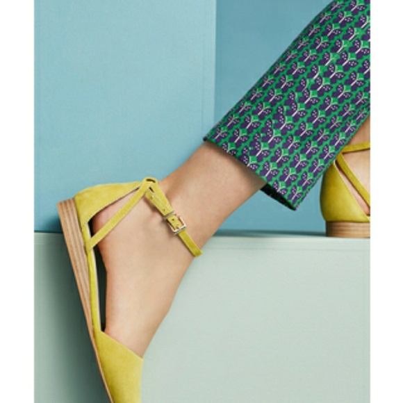 seychelles plateau city flats